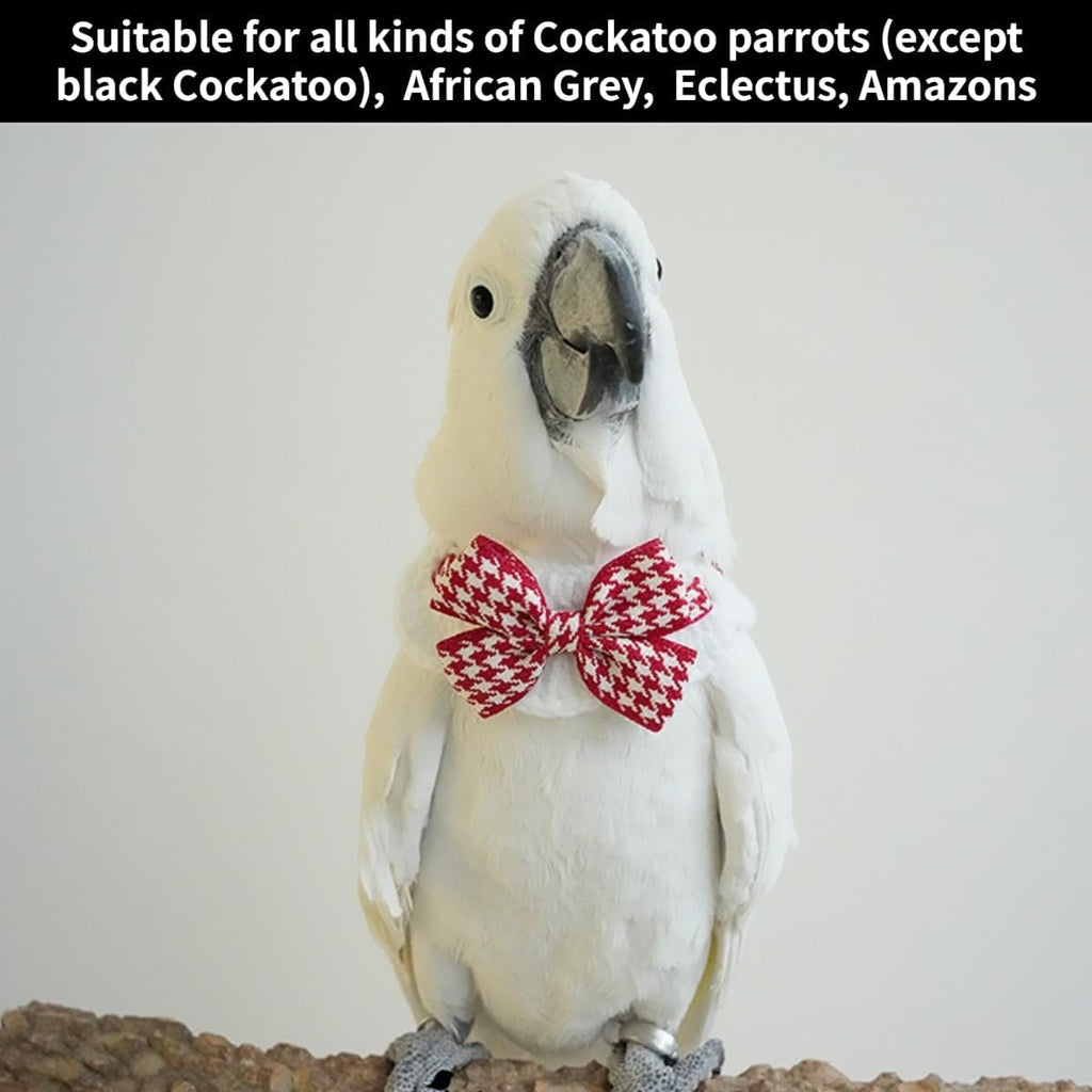 CXYYXF authentic parrot costume setup showing dimensions for proper avian fit