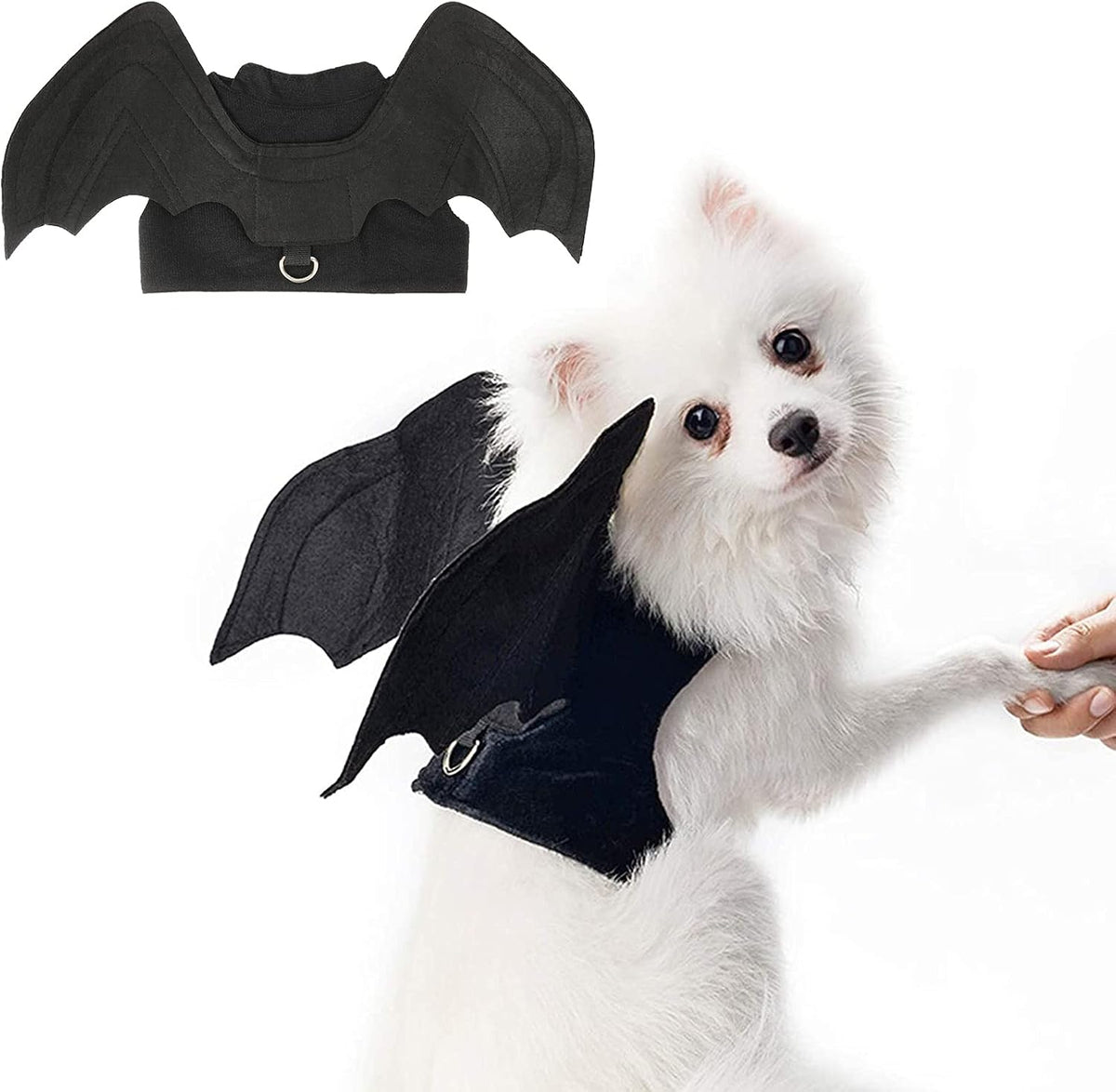 Pet wearing Rypet cat bat wings costume for Halloween celebration