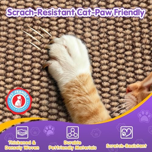 Indoor cat stretching and scratching on the wall mounted scratching board.