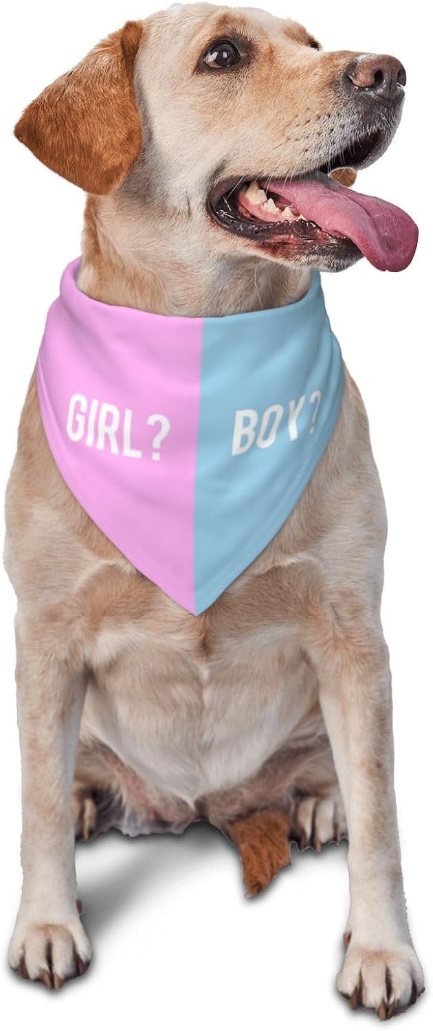 He Or She What Will It Be? Gender Reveal/Baby Announcement Dog Bandana,Pet Neckerchief for Pets Daily Wear Photo Prop Party Supplies (Blue) - Image 10