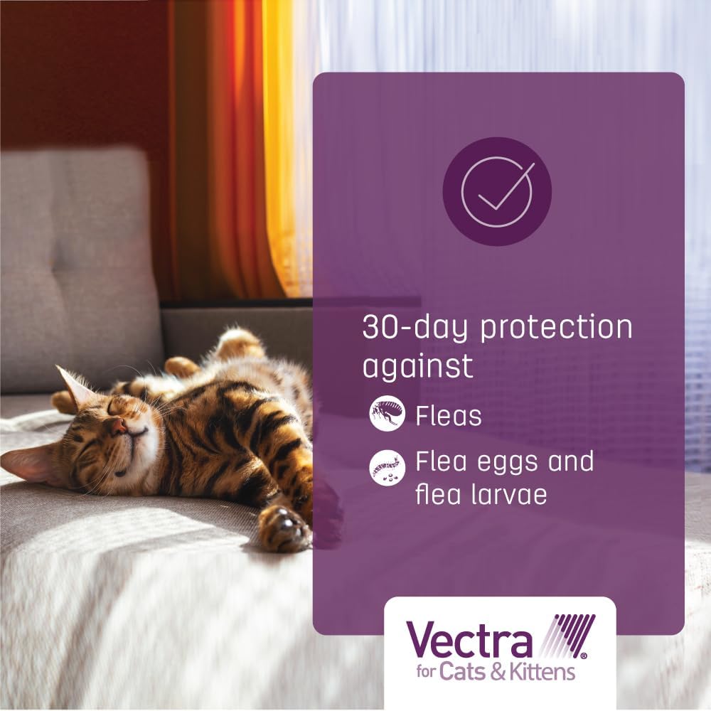 Vectra for cats and kittens monthly spot on treatment instructions