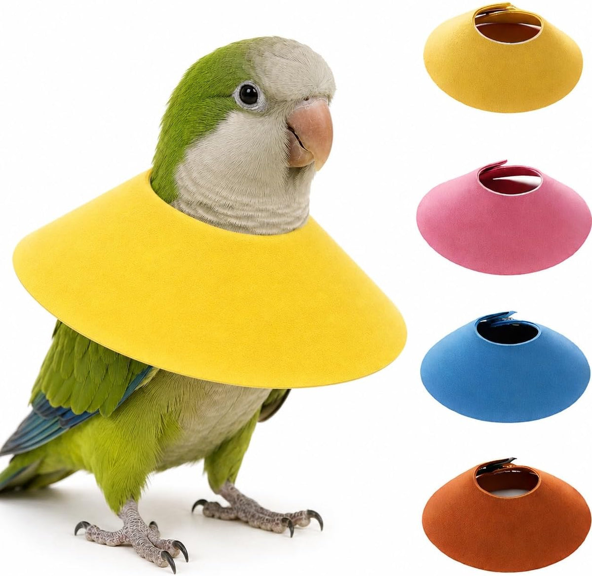 HIHETE bird cone collar 4pcs pack front view on white background