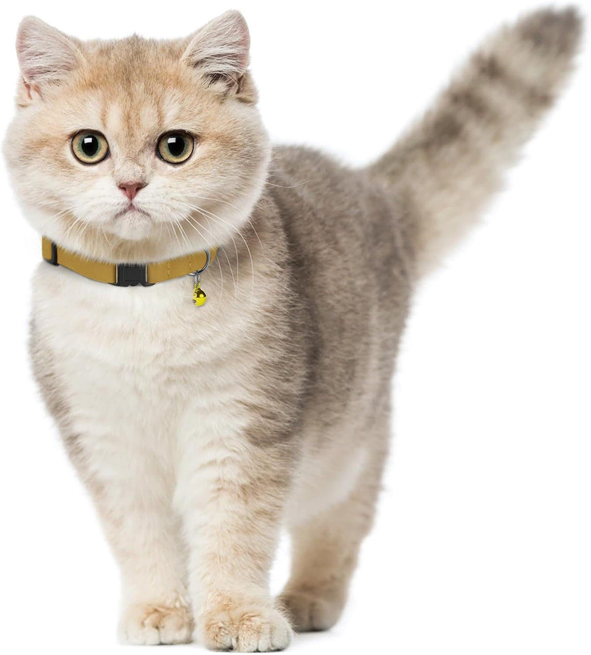 Mustard yellow genuine leather pet neck strap showing durable stitching details