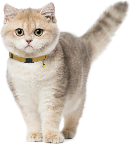 Mustard yellow genuine leather pet neck strap showing durable stitching details