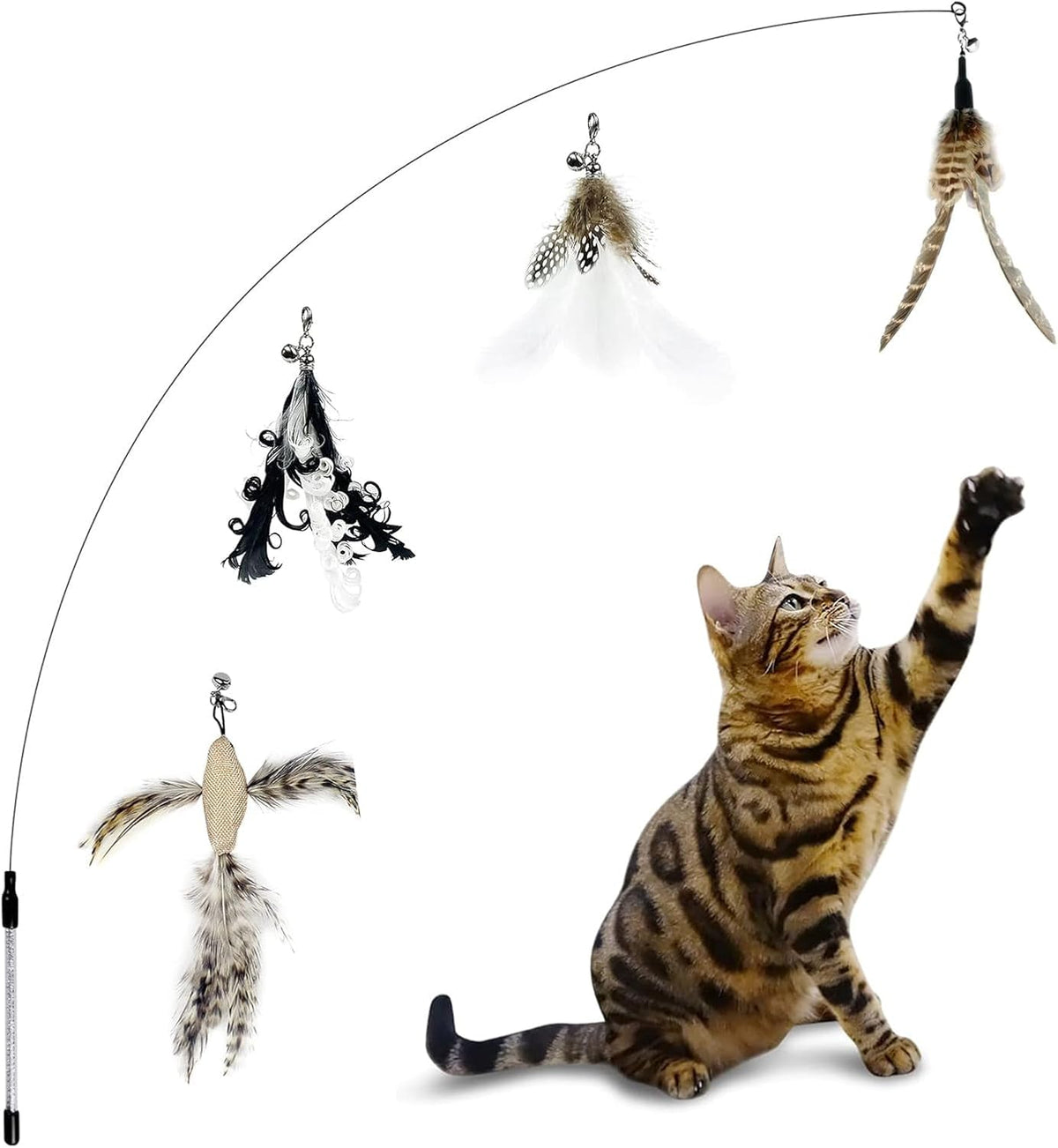 TTcat realistic flying insect simulation teaser heads designed for durable interactive pet play.