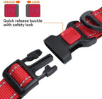 Taglory dog collar soft neoprene padding detail