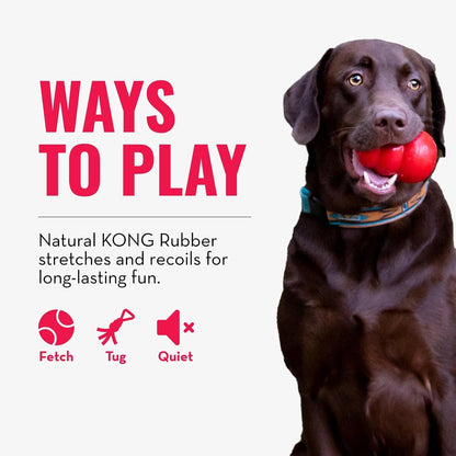 USA imported KONG interactive pulling toy for pets.