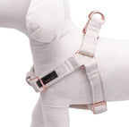 Aring Pet velvet harness showing cotton webbing interior