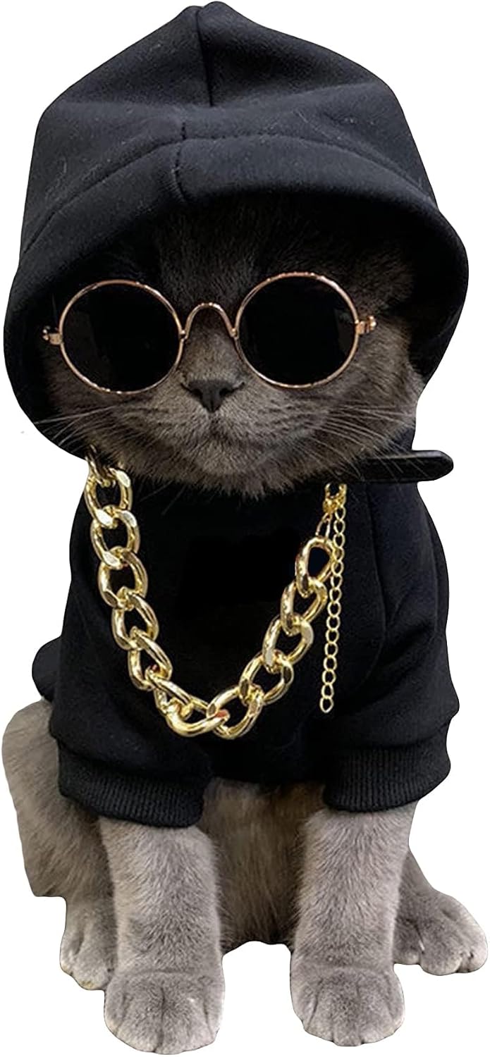 QWINEE Three Piece Pet Hoodie Costume Set front view showing black sweatshirt with sunglasses
