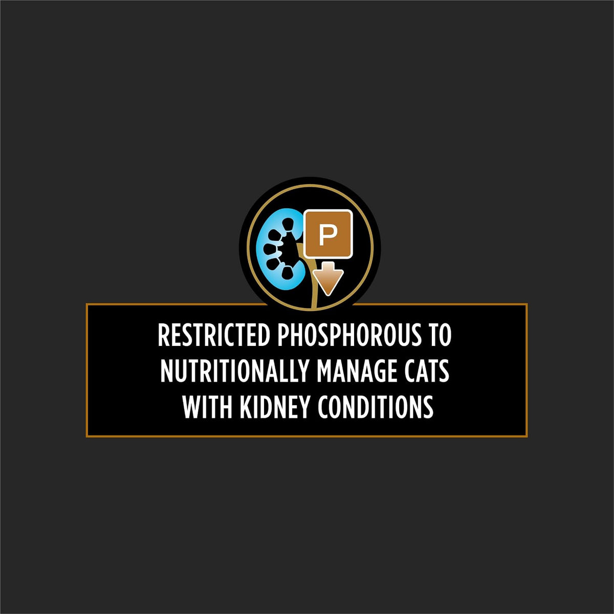Pro Plan Veterinary Diets NF Kidney Advanced Care pack of twenty four cans