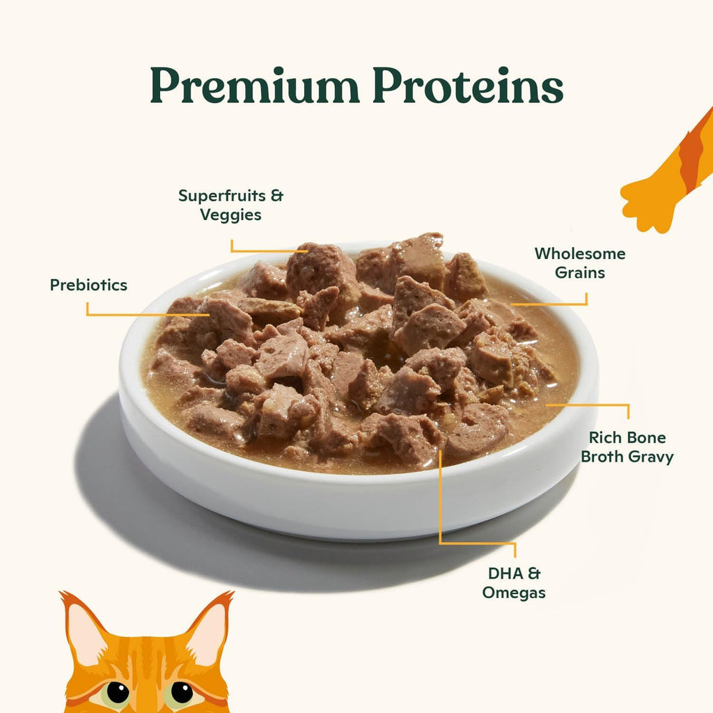 Grass-fed beef with bone broth wet cat food pouch for adult cat hydration.