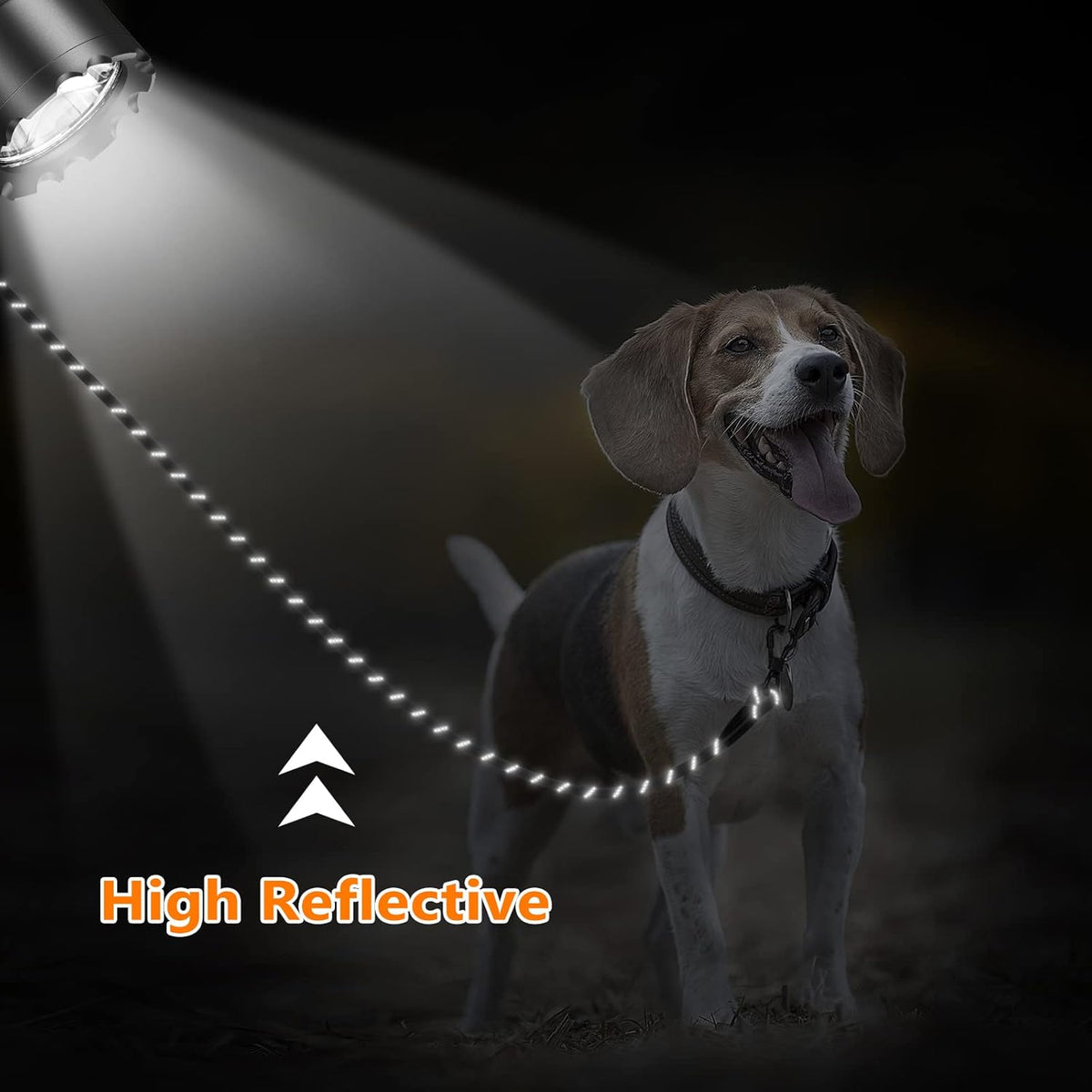 NTR reflective dog training rope night visibility stitching preview