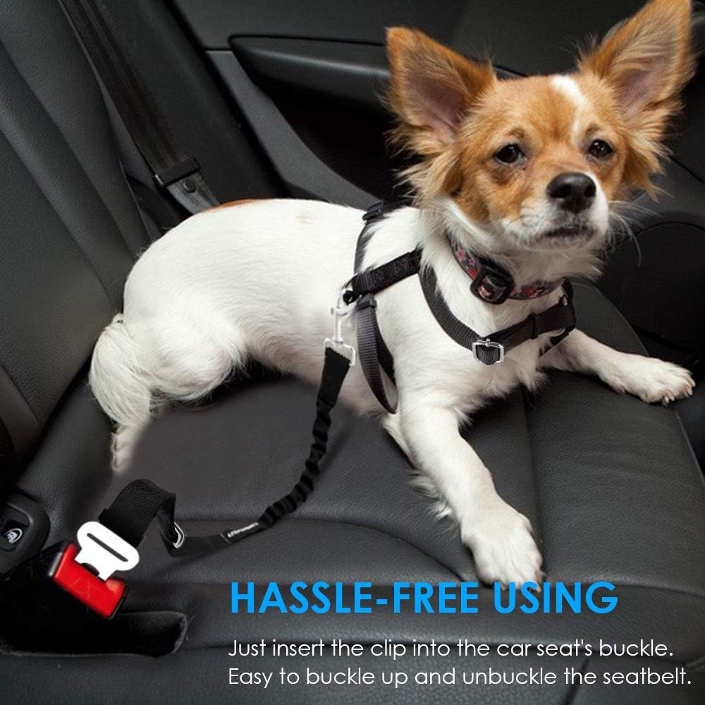 Pet safety tether showing swivel clasp mechanism