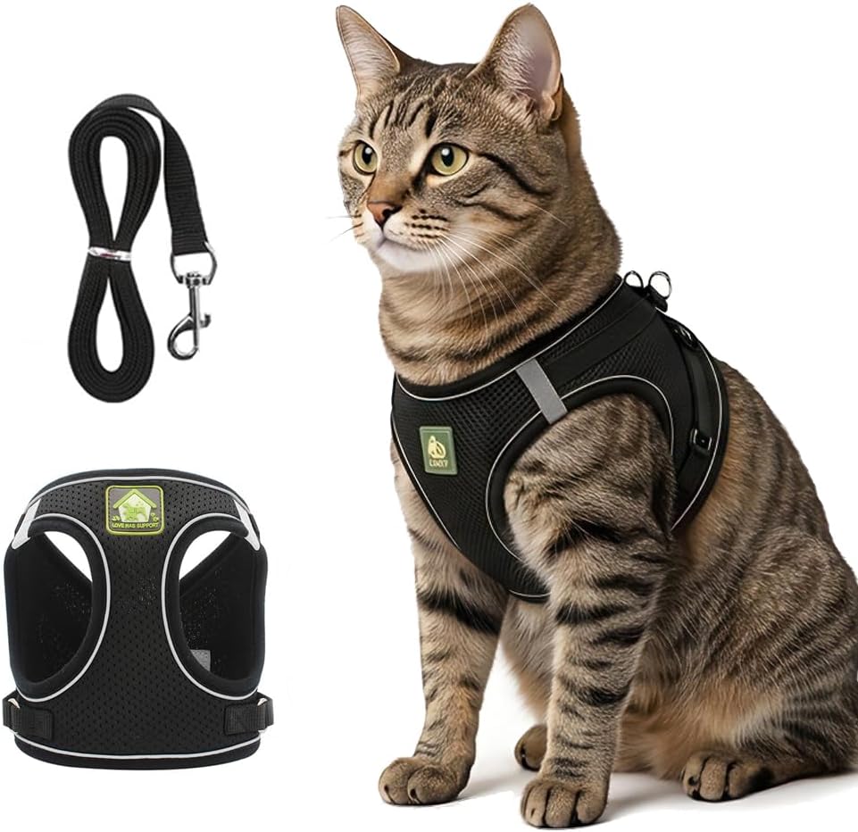 Rishav Pet Care Cat Harness and Leash Set front view of black escape proof vest