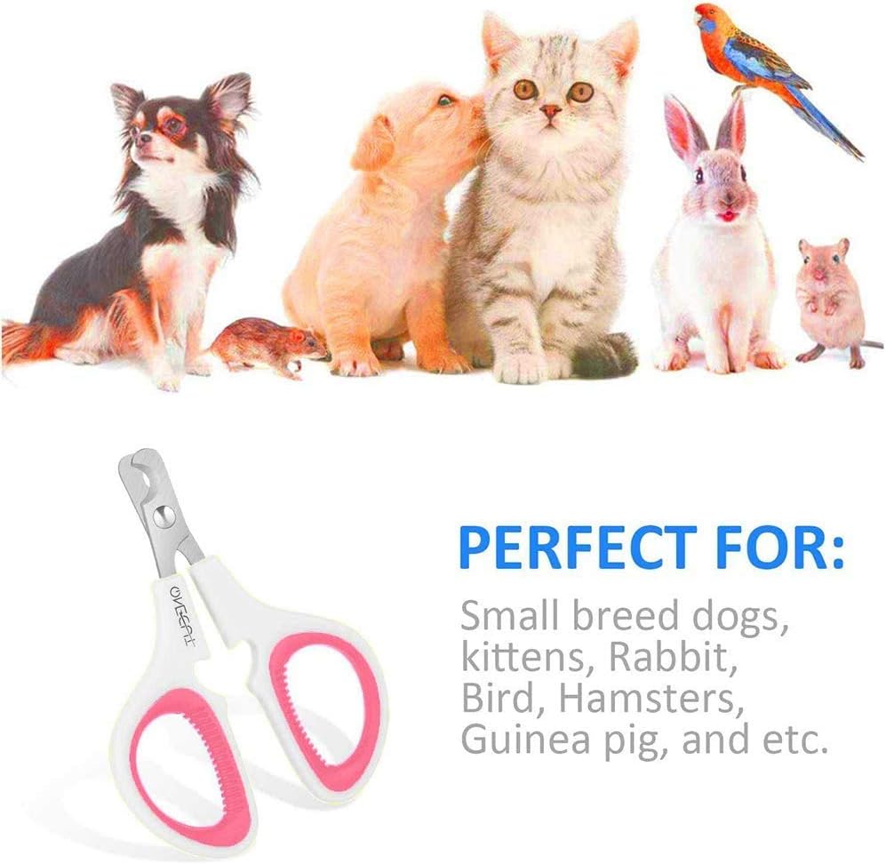 Demonstration of the lightweight pet claw clipper held comfortably in hand