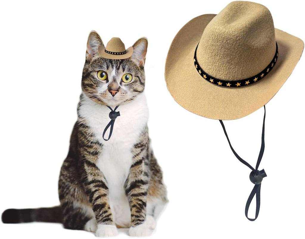 Detailed view of western style star band on pink pet hat