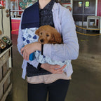 Top view of OrgMemory pet sling for small cats and dogs