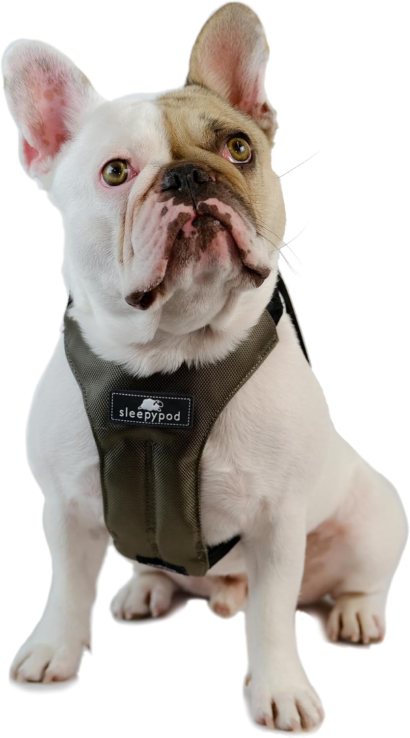 Clickit Sport Plus - Crash-Tested and Safety Certified Car Seat Belt Harness for Dogs (Medium, Strawberry Red) - Image 11