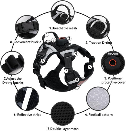 Adjustable secure buckles and nylon straps on the Skmeditec pet harness for large cats.