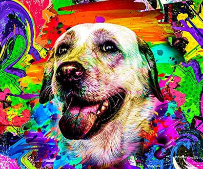 Close up of Welyeme pet hair dye packaging