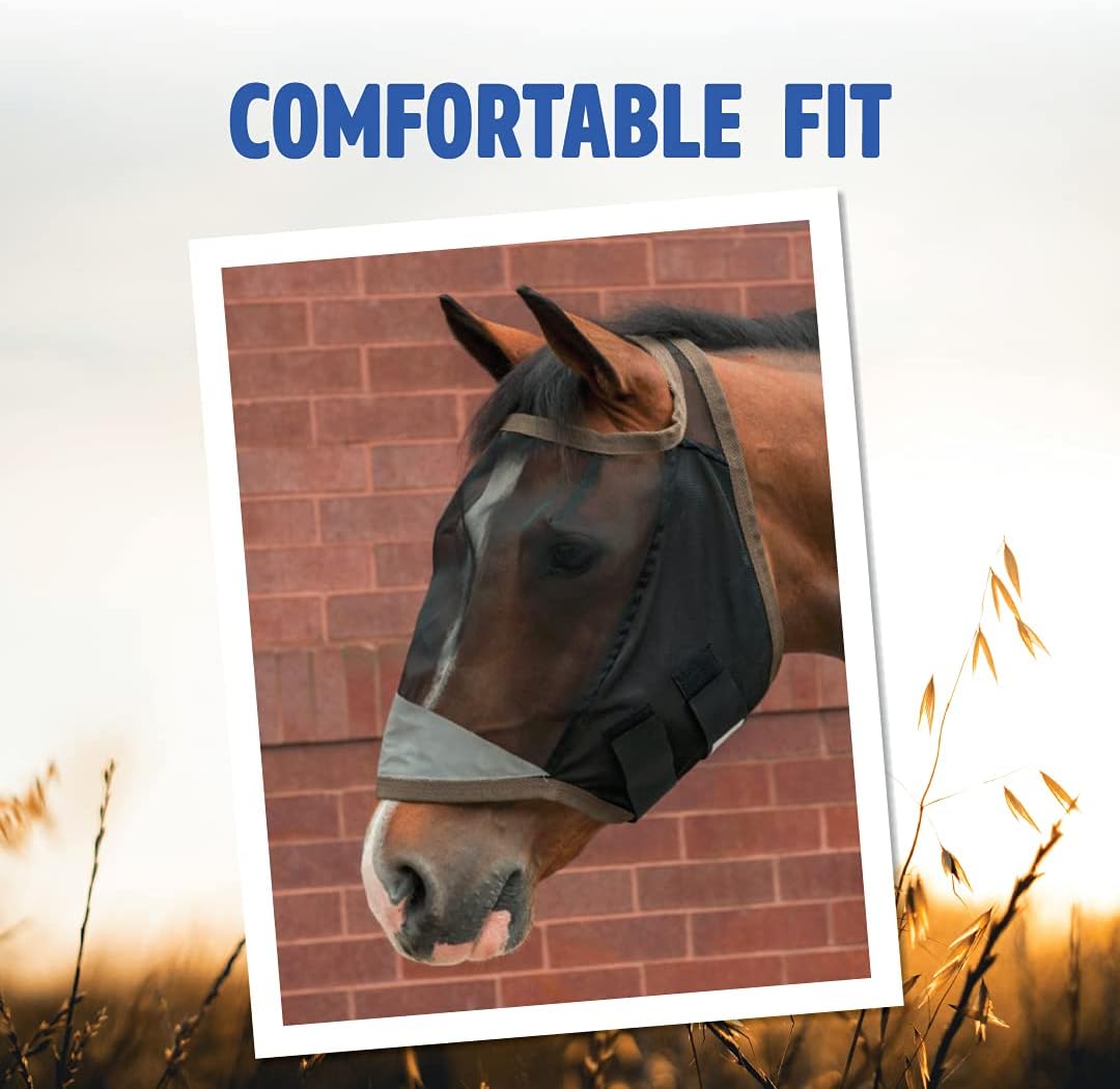Reflective Equi-Glo strips on Opti-Force fly mask