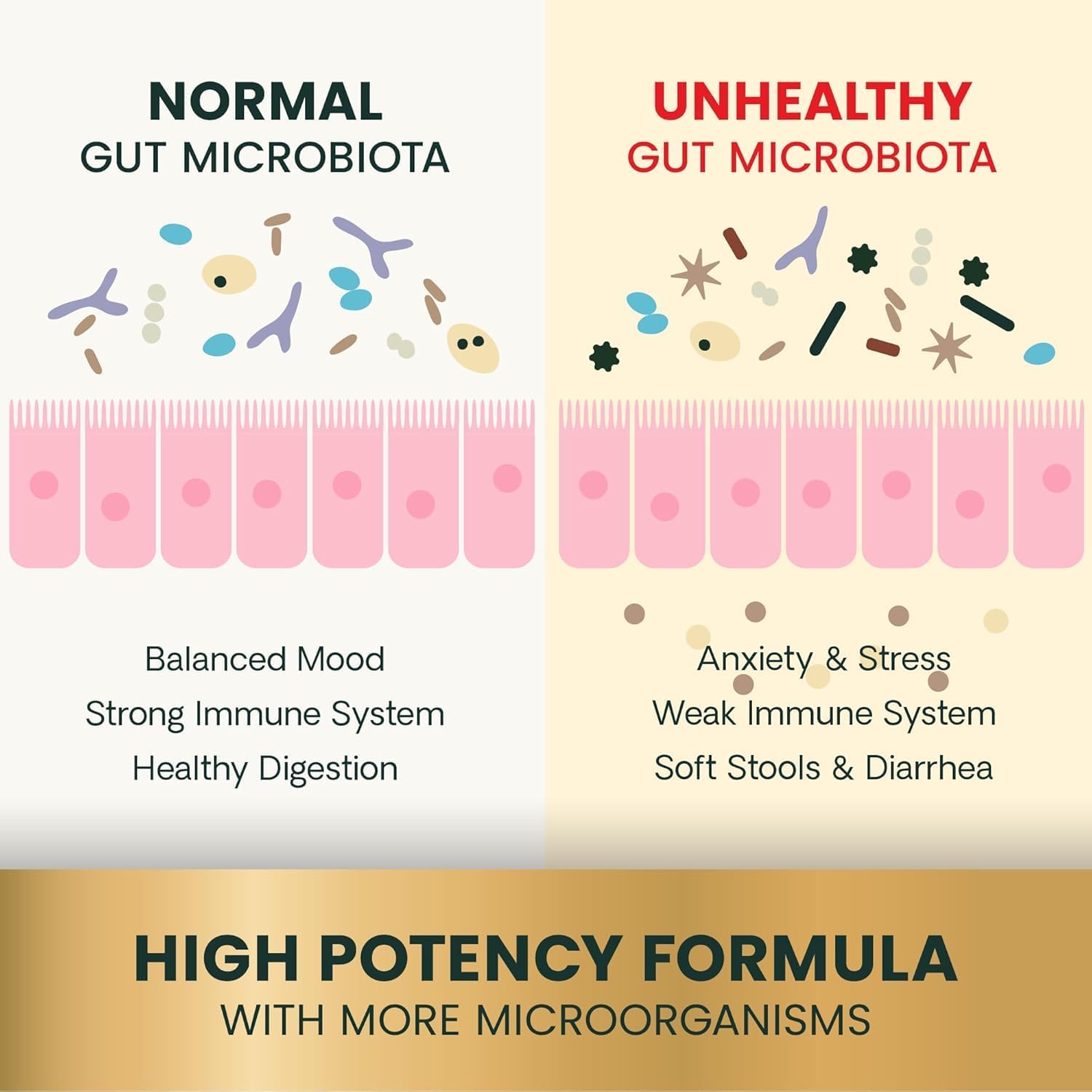 Authentic VetriScience gut health supplement packaging