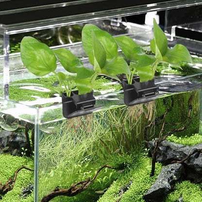 USA imported premium black fish tank decorations for emersed plants