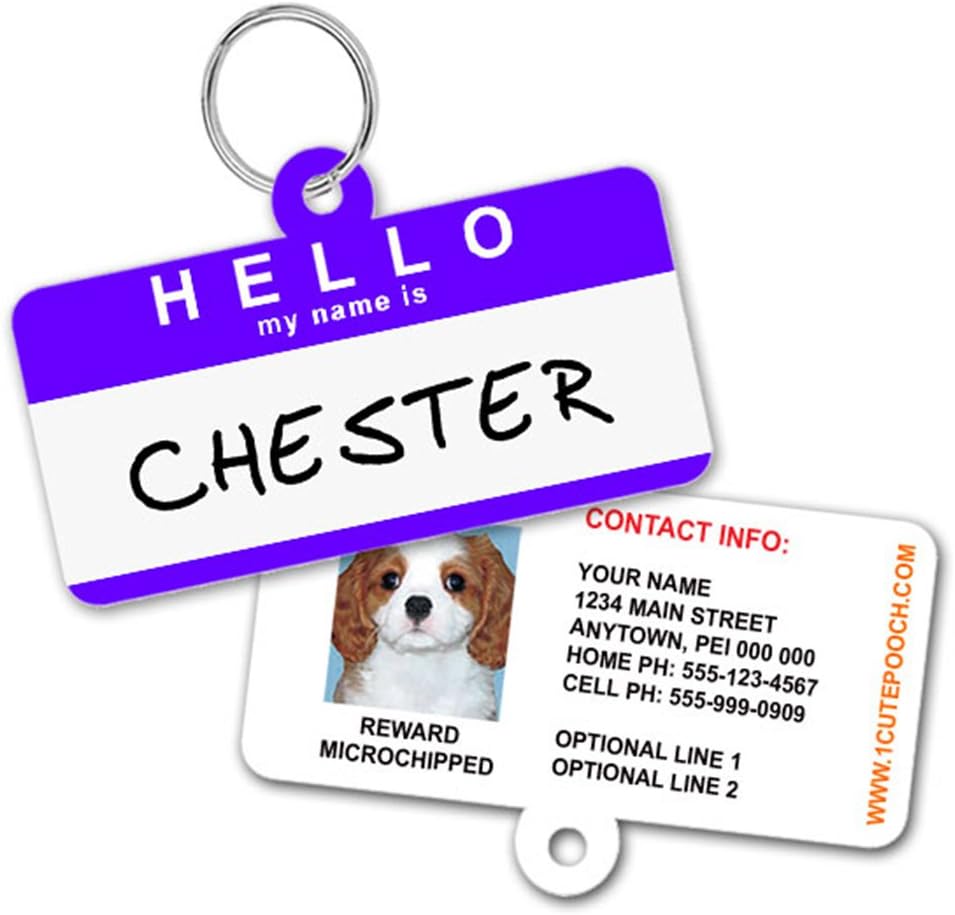 1 Cute Pooch custom pet tag packaging and accessories ready for use