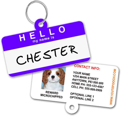1 Cute Pooch Hello My Name Is custom rectangular dog collar tag