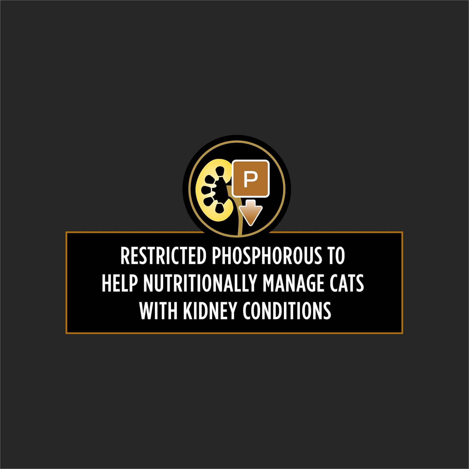 Case of twenty four Purina Pro Plan NF Kidney Function cat cans open box view