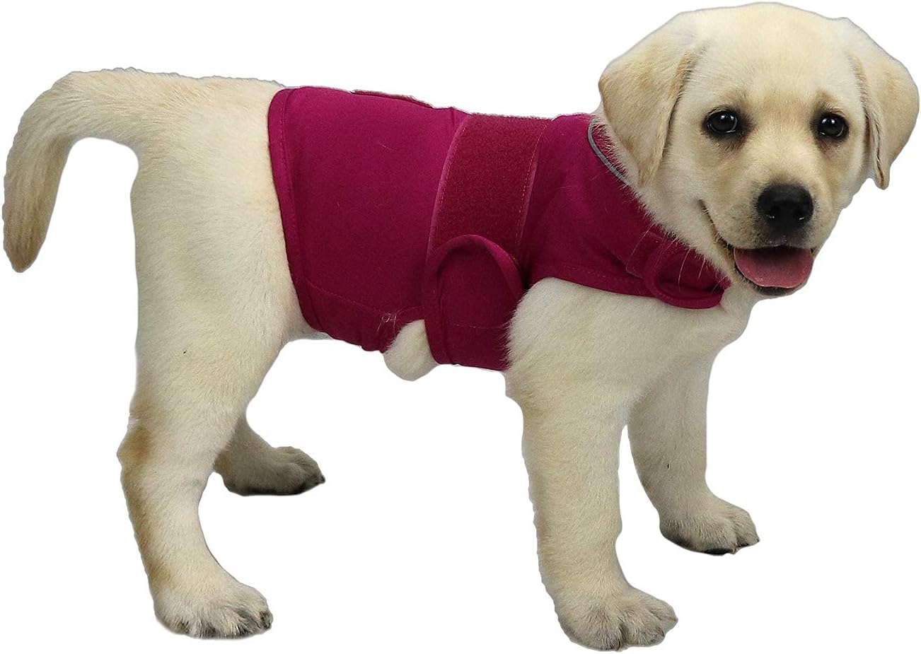 Secure fit dog swaddle wrap for calming hyperactive and stressed small dogs