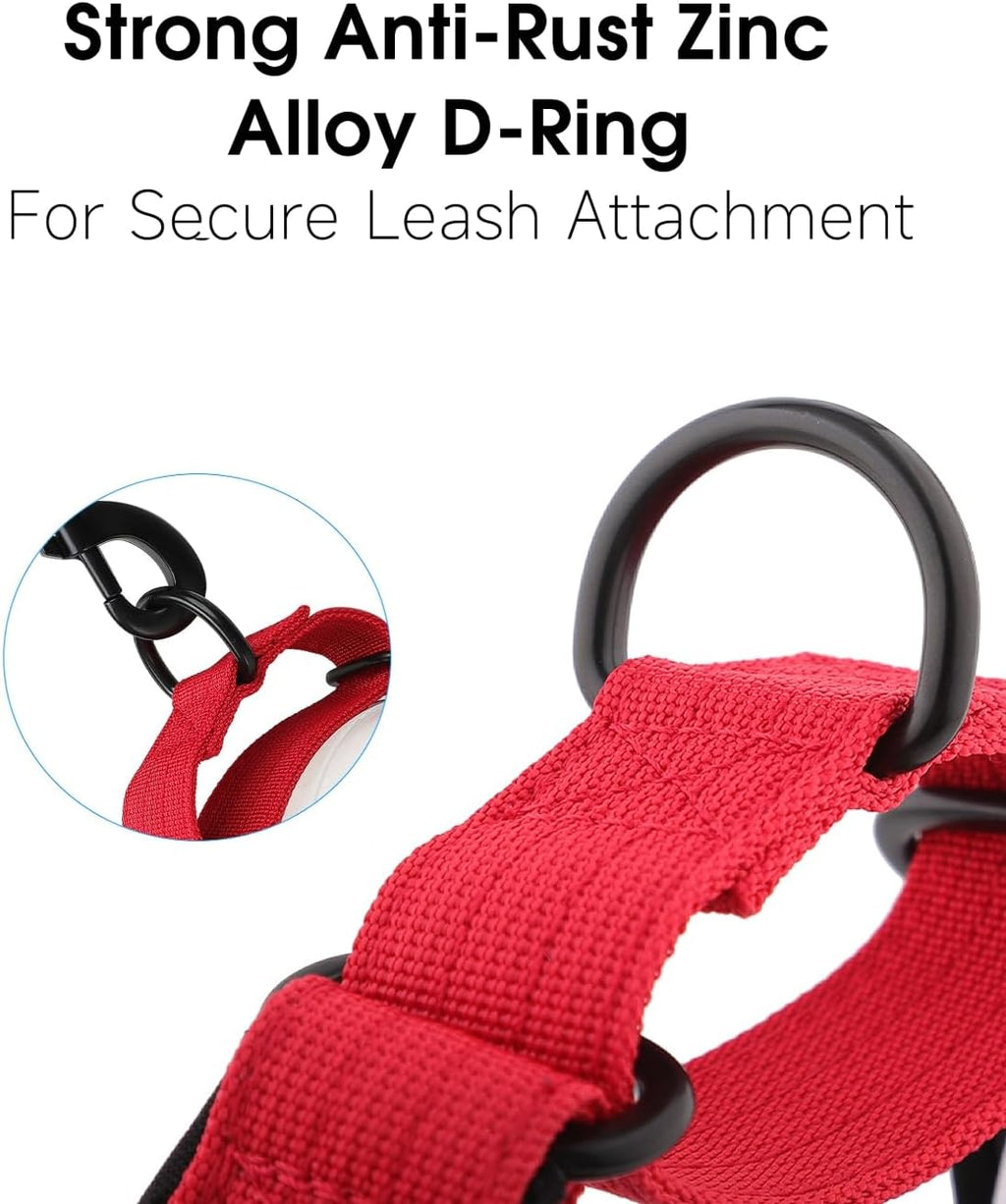 Full collection of Indink personalized martingale collars in various sizes