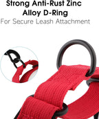 Full collection of Indink personalized martingale collars in various sizes