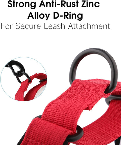 Full collection of Indink personalized martingale collars in various sizes