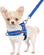 SlowTon No Pull Small Dog Harness and Leash Set, Puppy Soft Vest Harness Neck & Chest Adjustable, Reflective Lightweight Harness & Anti-Twist Pet Lead Combo for Small Medium Dogs (Fuchsia, XXS) - Image 12