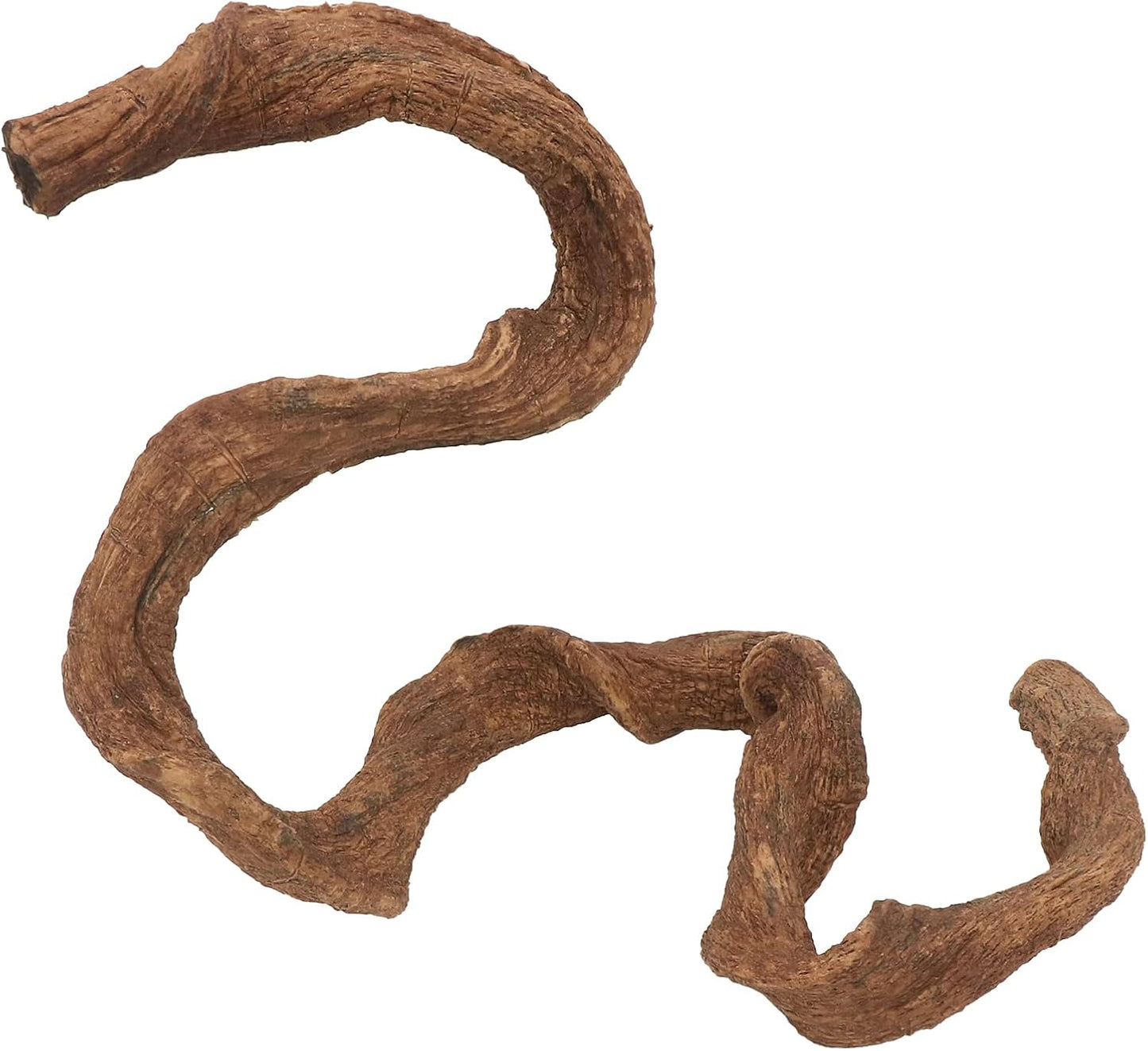 Crested gecko climbing on the bendable reptile branch