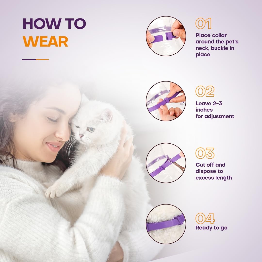 Breakaway safety clasp close up on an adjustable pheromone pet collar.