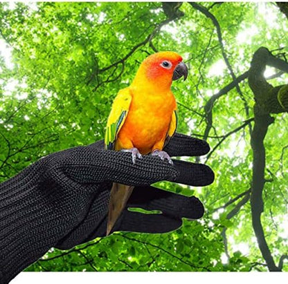 Alfyng chewing protective gloves highlighting the reinforced wire weave construction.