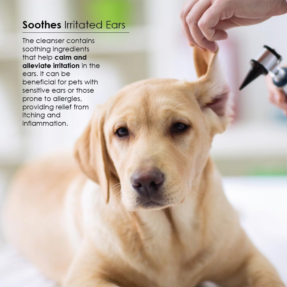 Otiderm 8 fluid ounce pet ear cleaner cap and nozzle