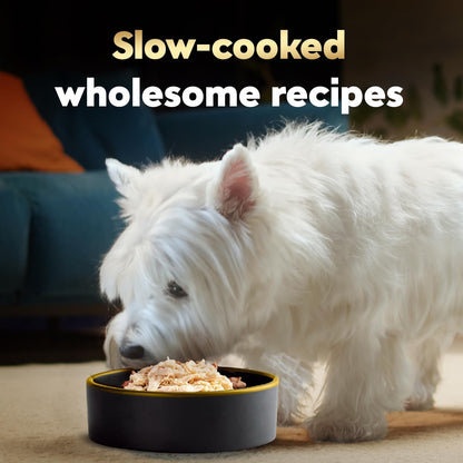 Cesar premium dog food topper real chicken recipe in broth bowl open view