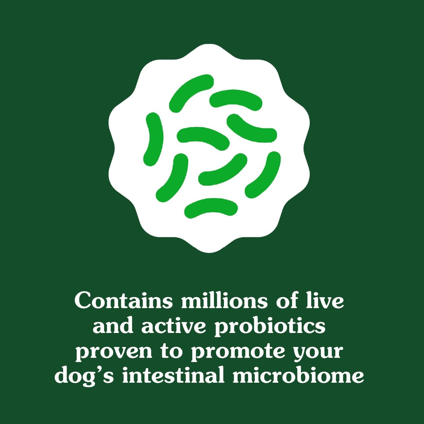 Close-up view of the chicken flavored soft chew digestive supplements for adult dogs.