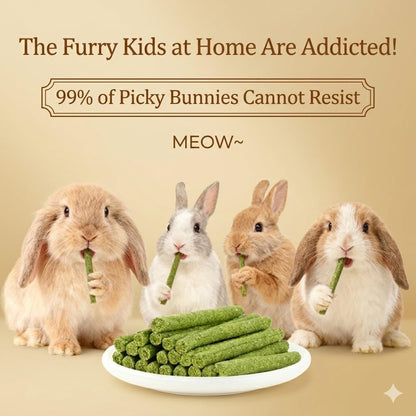 Hiwzitar pet treats showing the crunchy baked texture ideal for hamsters chinchillas and bunny boredom relief.