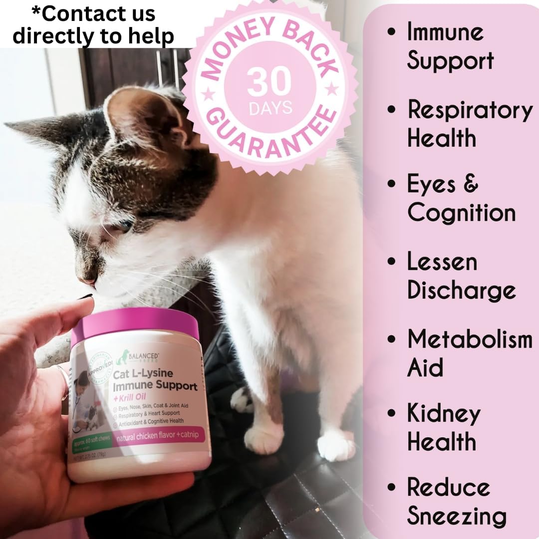 Balanced Breed pet health soft chews for cats