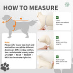 ExploreU dinosaur design dog raincoat clear PVC hood close up view