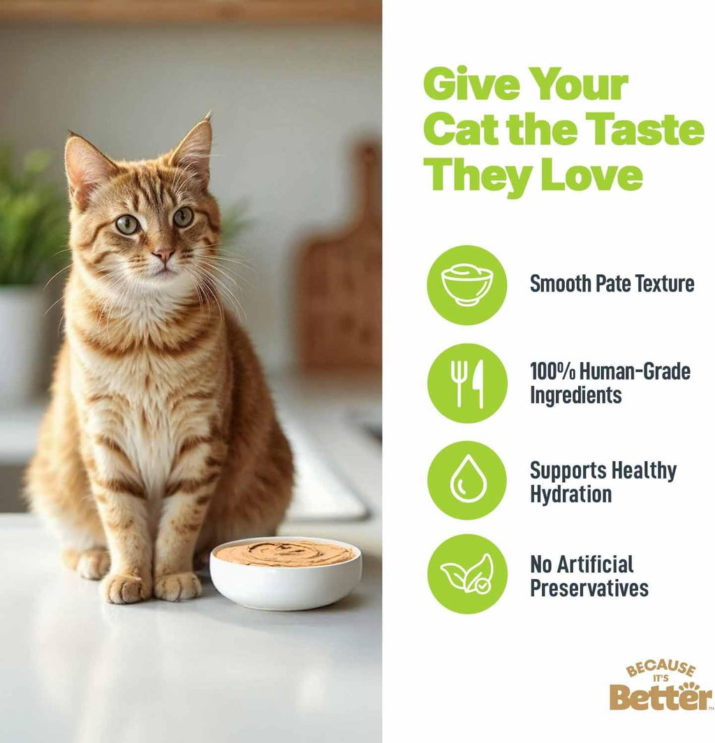 Real chicken recipe wet cat food for all life stages packaging