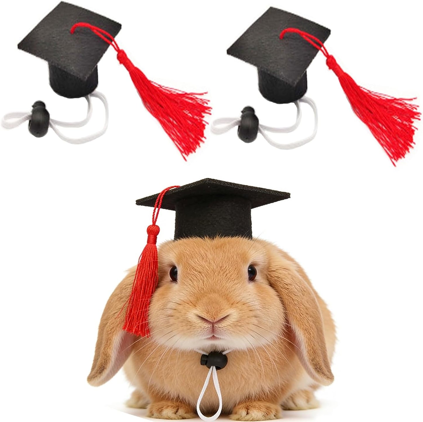 Authentic imported Soochat pet costume accessories packaged safely for Indian pet owners