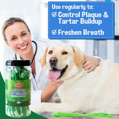 Bodhi Dog pet toothbrush demonstrating the large and small dual brush heads.