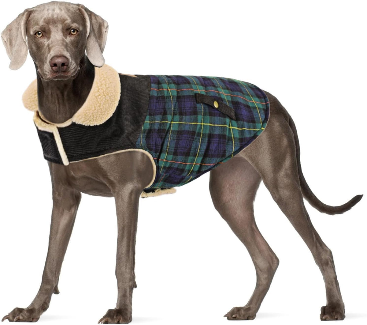 Winter Coat for Small and Medium Dogs, Puppy Plaid Jacket, Cotton Coat for Cold Weather, Windproof Warm Dog Garments, Pet Thickened Outfits Indoor Outdoor, Red S - Image 12
