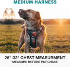 Side profile of Embark Adventure harness with gel handle