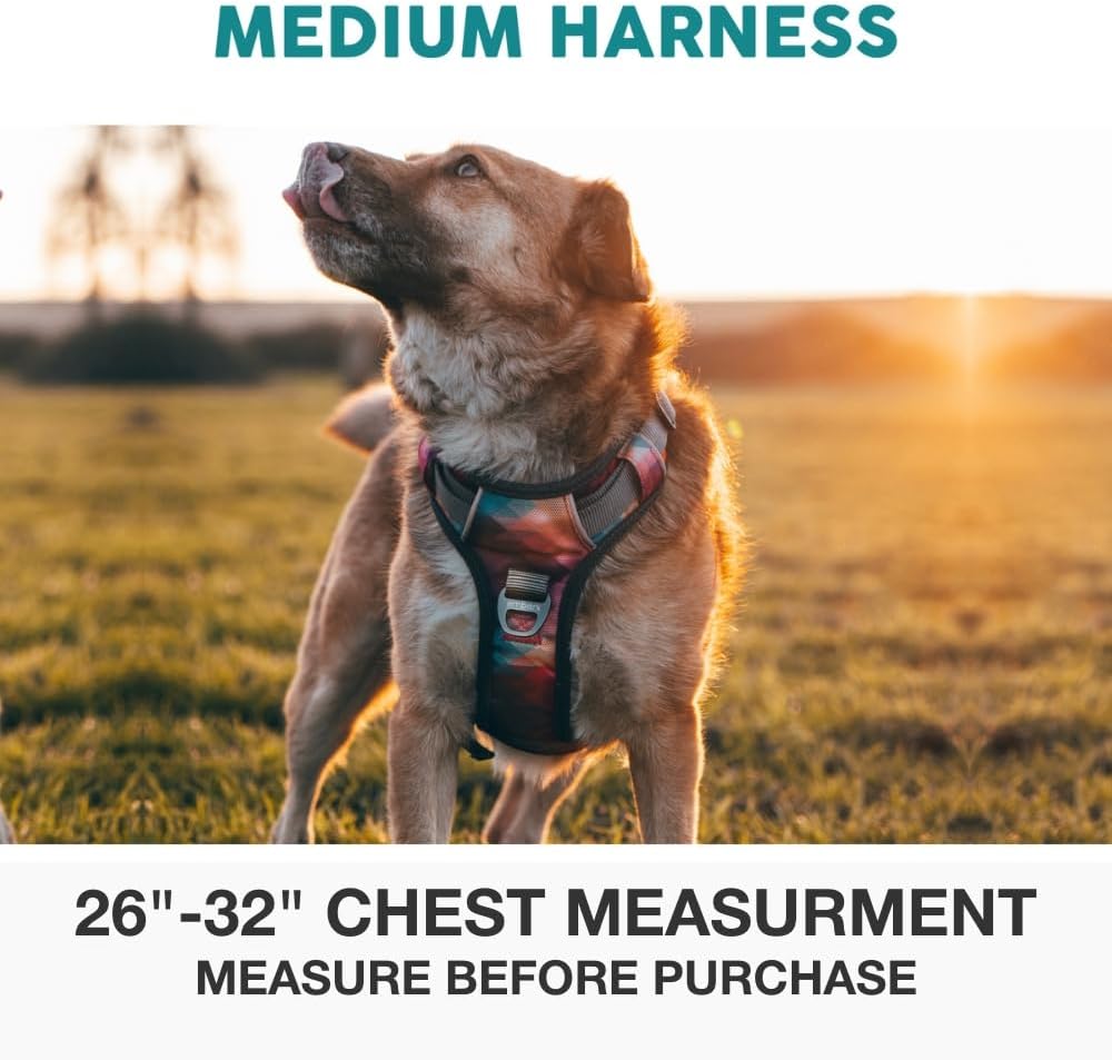 Side profile of Embark Adventure harness with gel handle